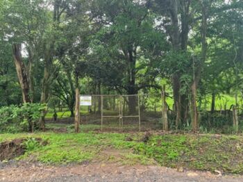 TERRENO ESPECIAL PARA DESARROLLO en Coyolar, Orotina, Alajuela — $800,000 - Foto 4 de 14