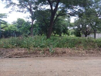 Venta de Lote en Sardinal de Carrillo, Guanacaste. RAH 26-47 in Sardinal, Carrillo, Guanacaste — $56,000 - Photo 4 of 7