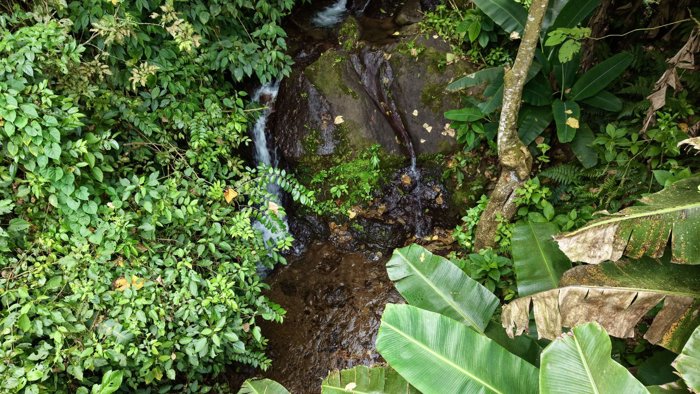 SE VENDE FINCA CON CASCADA PRIVADA Y ENTORNO NATURAL UNICO en Rivas, Pérez Zeledón, San José — $250,000