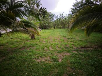 450 metros sur del Comando en Puerto Viejo, Sarapiquí, Heredia — 35 000 000 ₡ - Foto 4 de 11
