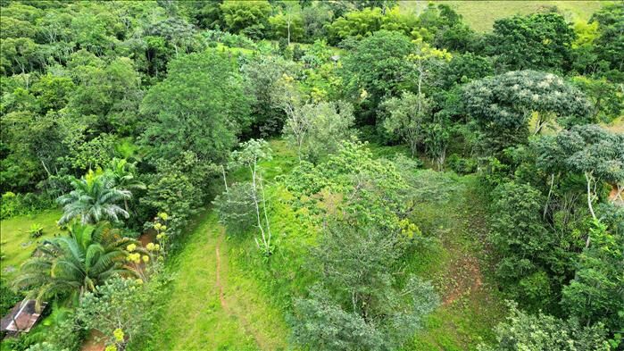 LOTE DE 6500mts ACRES CON ARROYO CERCA DE SAN ISIDRO in El General, Pérez Zeledón, San José — $62,000