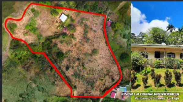 🌿 ¡Paraíso Natural en Pejibaye! Finca Espectacular con casa y vistas únicas. in Pejibaye, Jiménez, Cartago — ₡ 125 000 000