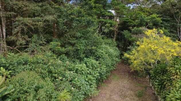 PROPIEDAD DE 5,186 M² EN VENTA EN SAN FRANCISCO DE CAJÓN in San Isidro De El General, Pérez Zeledón, San José — $120,000