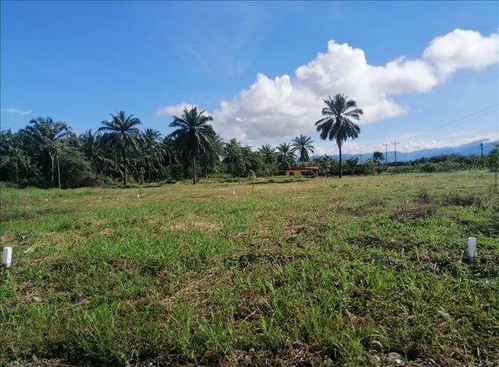 Lotes a la Venta- La Corona, Parrita- Últimos 4 en Parrita, Puntarenas — ₡ 8 150 000