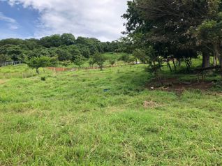 Venta terreno en Balsa de Atenas, frente autopista 27 en Atenas, Alajuela — 116 000 000 ₡ - Foto 2 de 8