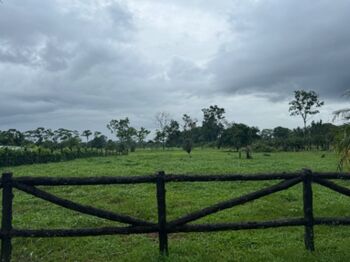 Land For Sale Guápiles, Pococí, Limón