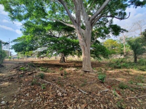 Se vende amplio lote de 1.5 hectáreas en Orotina Alajuela 25-1298 in Orotina, Alajuela — $700,000