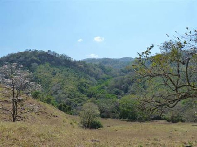 Propiedad de aproximadamente 39 hectareas en Atenas, Alajuela — $1,500,000 - Foto 2 de 14