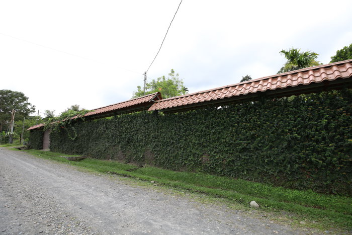Casa en venta - Guápiles in Guápiles, Pococí, Limón — ₡ 105 000 000 - Photo 2 of 30