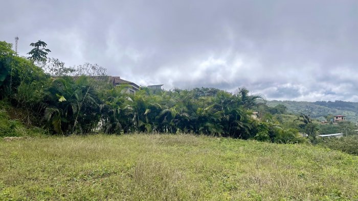 LOTE EN VENTA CON VISTA AL MAR EN SANTIAGO, SAN RAMON en San Ramón, Alajuela — $198,000 - Foto 2 de 16