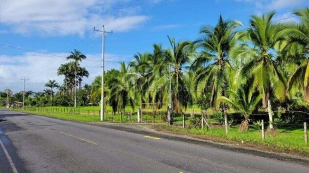 Se vende finca cerca de la playa en Matama Limón 26-1671 in Matama, Limón — $20,000,000