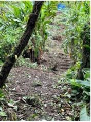 Se venden Terrenos en el Valle de Orosi, para quintas en Orosi, Paraíso, Cartago — $120,000 - Foto 5 de 16