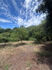 TERRENO INDUSTRIAL TRINIDAD OROTINA en La Ceiba, Orotina, Alajuela — 225 000 000 ₡ - Foto 3 de 9