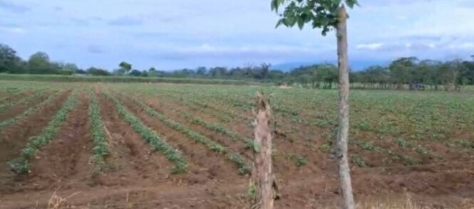 BELLA Y ESPECTACULAR PROPIEDAD EN LA FORTUNA DE SAN CARLOS.  en La Fortuna, San Carlos, Alajuela — ₡ 125 000 000