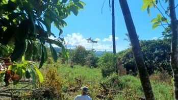 Finca con Gran Potencial en Corredores, Puntarenas, Costa Rica. en Corredor, Corredores, Puntarenas — 80 000 000 ₡ - Foto 4 de 7