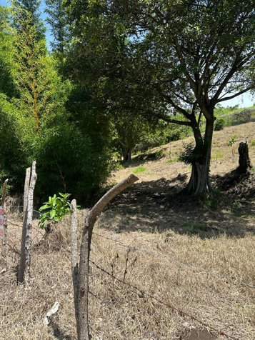 VENTA DE LOTE, SAN JOSE, ESCAZÚ, SAN RAFAEL, VISTAS DE ESCAZU en San Rafael, Escazú, San José — $390,750
