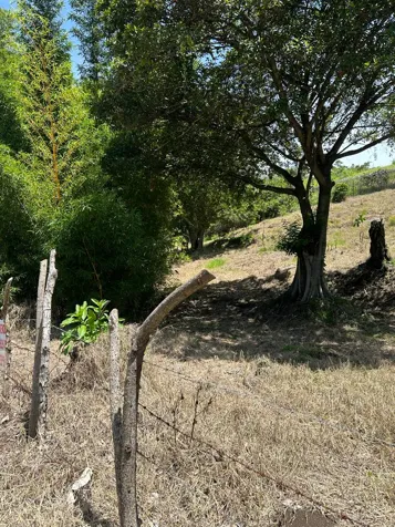 VENTA DE LOTE, SAN JOSE, ESCAZÚ, SAN RAFAEL, VISTAS DE ESCAZU en San Rafael, Escazú, San José — $390,750 - Foto 3 de 9