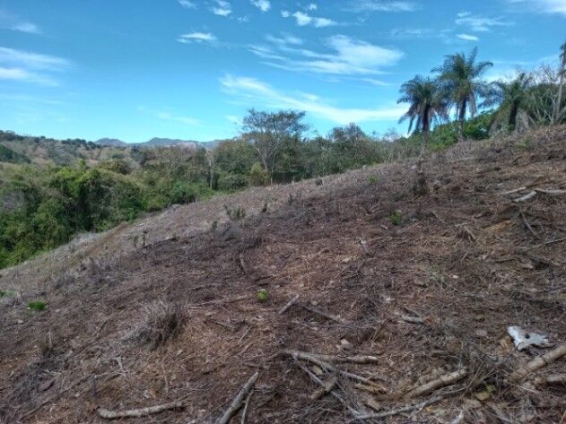 DE OPORTUNIDAD BELLA PROPIEDAD EN BARROETA DE ATENAS, ALAJUELA.  en Atenas, Alajuela — ₡ 35 000 000