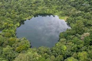 LOTE EN LA TIGRA DE SAN CARLOS en La Tigra, San Carlos, Alajuela — 60 000 000 ₡ - Foto 4 de 8