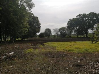 VENTA DE LOTE ALTA DENSIDAD, GUANACASTE, CARRILLO, PALMIRA in Palmira, Carrillo, Guanacaste — $544,135 - Photo 4 of 5