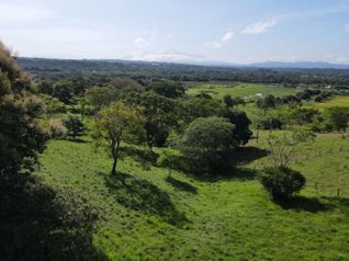 Venta de Finca en La Trinidad. La Ceiba. Orotina de Alajuela en La Ceiba, Orotina, Alajuela — 70 000 000 ₡ - Foto 5 de 35