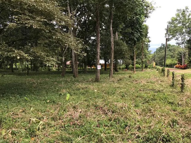 GANGA 9100 M2 para desarrollo Valle Azul Sn Ramon en San Ramón, Alajuela — ₡ 80 000 000 - Foto 3 de 4