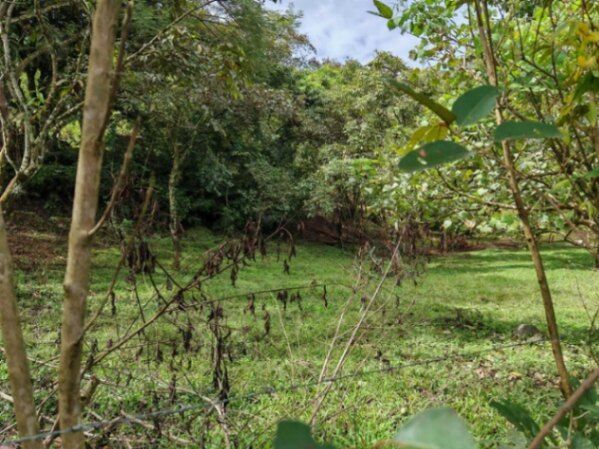 Venta de Lote en Mora-Colón. RAH 25-1619 in Colón, Mora, San José — $1,530,000