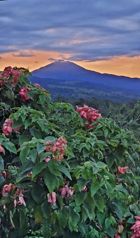 Propiedad con Airbnb en Guatuso | Vista al Volcán Tenorio | 8,007 m2 en San Rafael, Guatuso, Alajuela — 85 000 000 ₡ - Foto 2 de 35