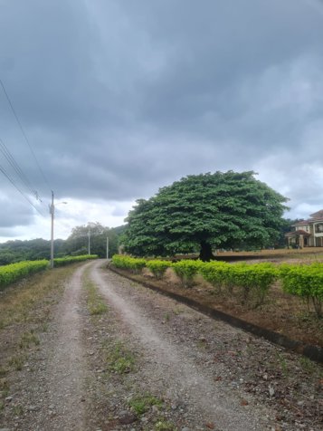 VENTA DE LOTE, PUNTARENAS, MIRAMAR, HACIENDA MONTES DE ORO in Miramar, Montes De Oro, Puntarenas — $74,382