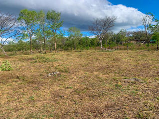 Lote en Bagaces, Guanacaste ** 2153 en La Fortuna, Bagaces, Guanacaste — 40 000 000 ₡ - Foto 4 de 12