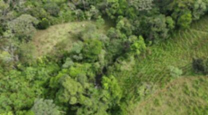 HERMOSA PROPIEDAD DE MÁS DE 1 ACRE, TERRENO PLANO Y QUEBRADA EN MIRAFLORES, PÉREZ ZELEDÓN in San Isidro De El General, Pérez Zeledón, San José — $54,000
