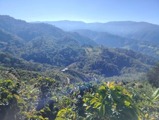 EN VENTA: Espectacular Finca Agrícola y Forestal en Santa María de Dota en Santa María, Dota, San José — 525 000 000 ₡ - Foto 5 de 21