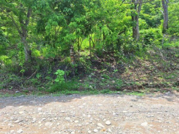 Venta de Lote en Barranca, Puntarenas. RAH 25-2040 en Barranca, Puntarenas — ₡ 30 000 000