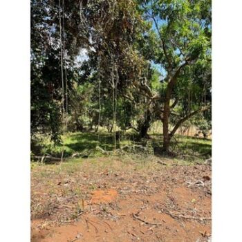 Lote en Venta San Mateo, San Mateo, Alajuela