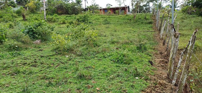 Lote En Venta En La Aurora, Limón in Limón — ₡ 16 000 000