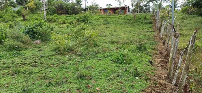 Lot For Sale In La Aurora, Limón in Limón — ₡ 16 000 000