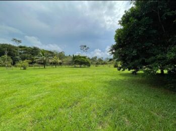 BELLÍSIMA QUINTA MUY CERCANA A LA FORTUNA.  en Peñas Blancas, San Ramón, Alajuela — 85 000 000 ₡ - Foto 4 de 7