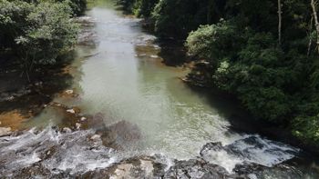 Amazing Waterfall-Organic-community in La Amistad, Pérez Zeledón, San José — $1,300,000 - Photo 5 of 58