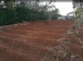 VENTA TERRENO PARA CONSTRUCCION  in Palmitos, Naranjo, Alajuela — 13 000 000 ₡ - Photo 5 of 9