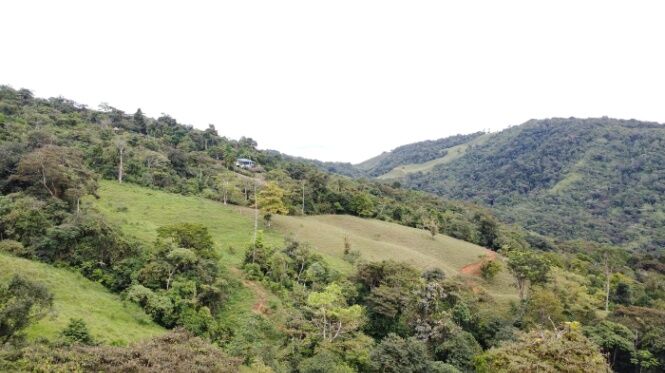 19+ Acres en Perez Zeledon en Platanares, Pérez Zeledón, San José — $180,000