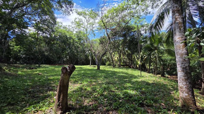 Lote con quebrada y bosque/2506m2/SAN MATEO in Labrador, San Mateo, Alajuela — ₡ 100 000 000 - Photo 2 of 56