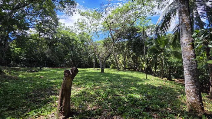 Lote con quebrada y bosque/2506m2/SAN MATEO in Labrador, San Mateo, Alajuela — ₡ 100 000 000 - Photo 2 of 56