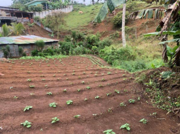 Venta de Lote en Paraíso de Cartago. RAH 26-1362 in Paraíso, Cartago — ₡ 42 000 000