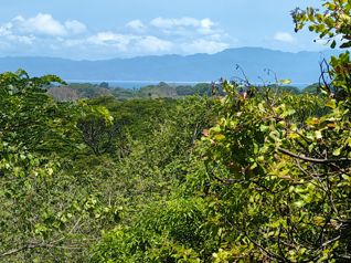 Lote con vista al Golfo de Nicoya | Esparza | Puntarenas en Espíritu Santo, Esparza, Puntarenas — $49,284 - Foto 2 de 21