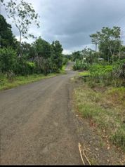 🌿 LOTE EN VENTA – LA TIGRA en La Tigra, San Carlos, Alajuela — 19 000 000 ₡ - Foto 2 de 6