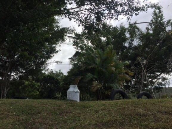 MLS-26-1245 LS VENTA LOTE LA SUIZA TURRIALBA CONTACTENOS AL # 86127562 en La Suiza, Turrialba, Cartago — ₡ 59 000 000