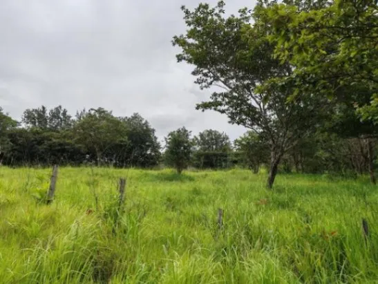 MLS-25-216 LS VENTA FINCA LIBERIA GUANACASTE CONTACTENOS AL # 86127562 in Liberia, Guanacaste — ₡ 60 000 000