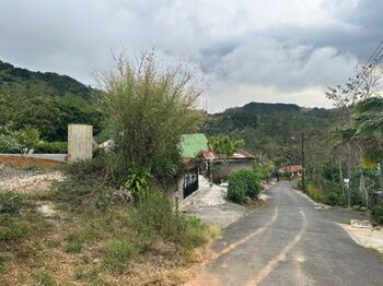Vendo LOTE en C. Zeledón San Ramón  en Santiago, San Ramón, Alajuela — $37,000 - Foto 4 de 5