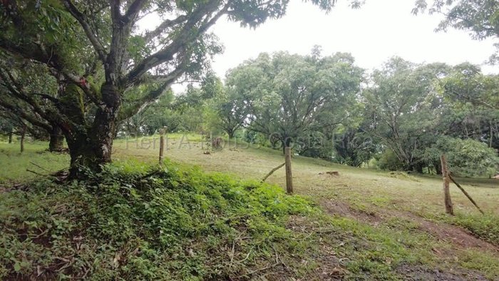 Venta de Lote en Turrubares. RAH 27-866 OPORTUNIDAD ÚNICA en San Juan De Mata, Turrubares, San José — ₡ 65 000 000 - Foto 2 de 10