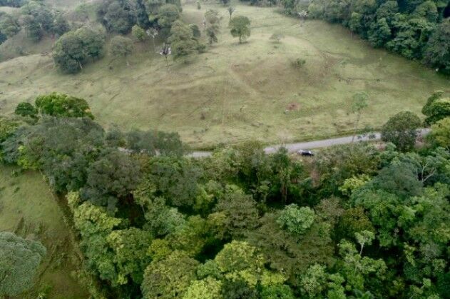 Terreno Venta Guápiles, Pococí Limón #26-1792 en Guápiles, Pococí, Limón — ₡ 40 000 000